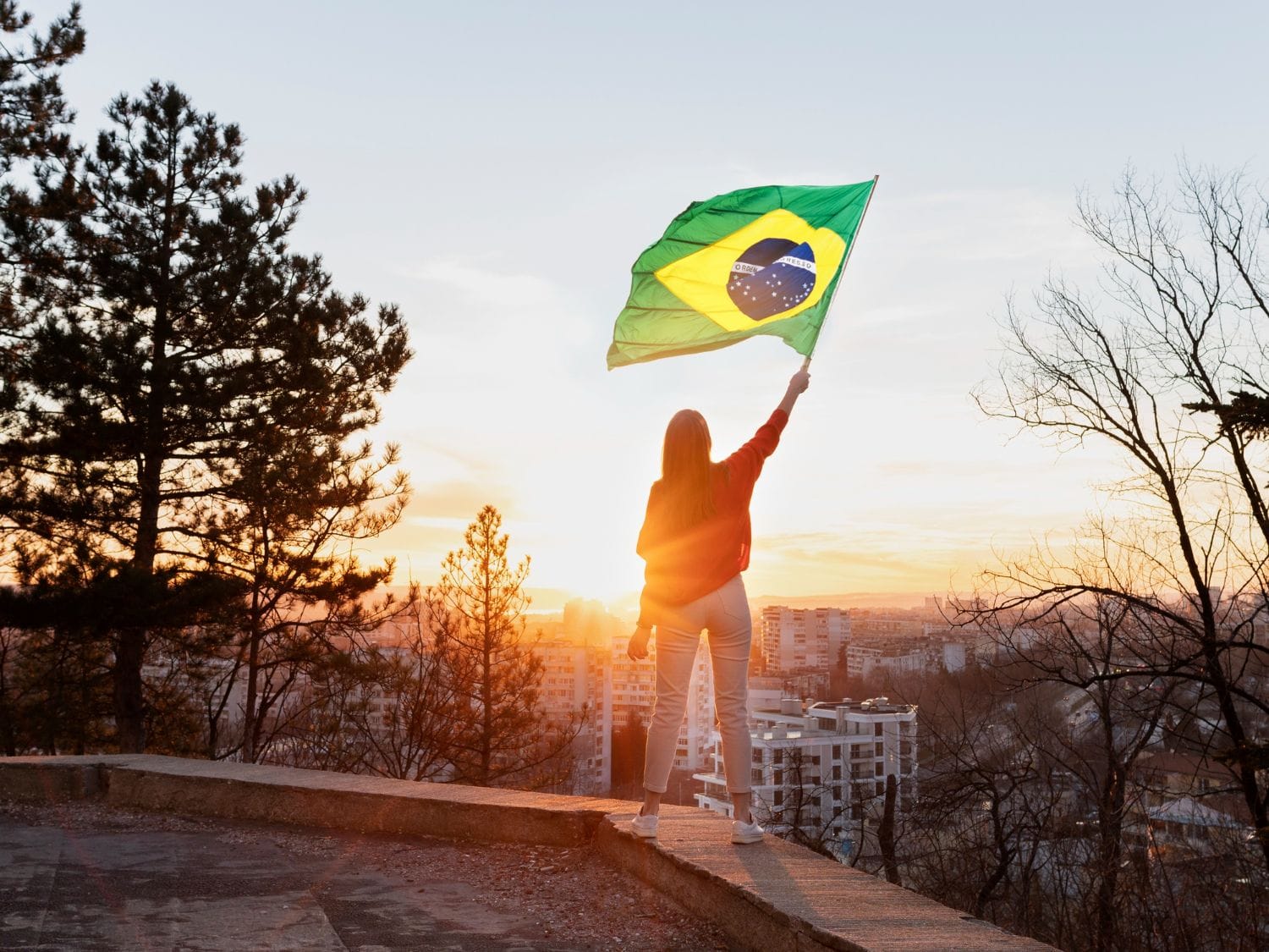 Curso História da Educação no Brasil