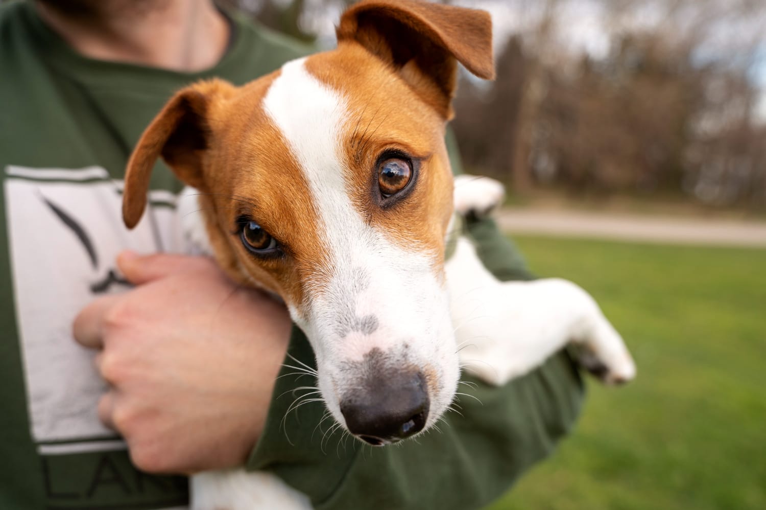 Curso de Defesa Sanitária Animal