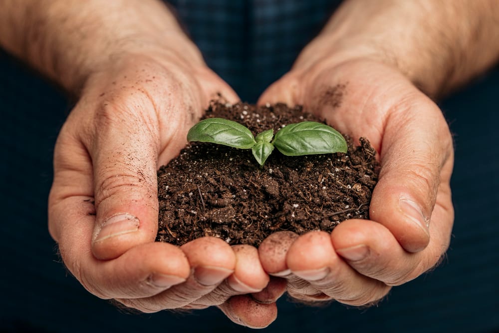 Curso de Agroecologia