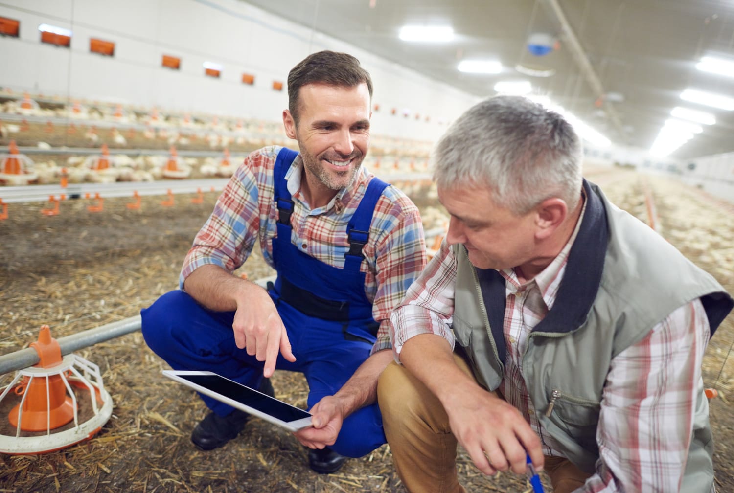Curso de Gestão de Agronegócios