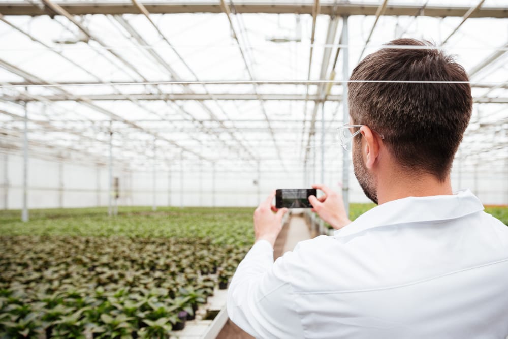 Técnicas e Implementos Agrícolas